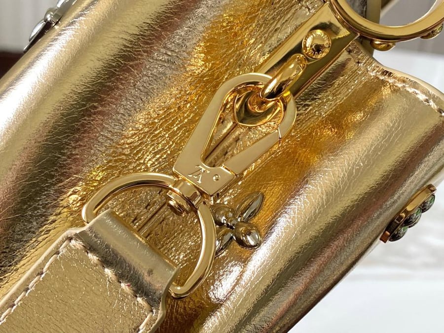 Louis Vuitton Capucines handbag / حقيبة يد لويس فويتون كابوسين