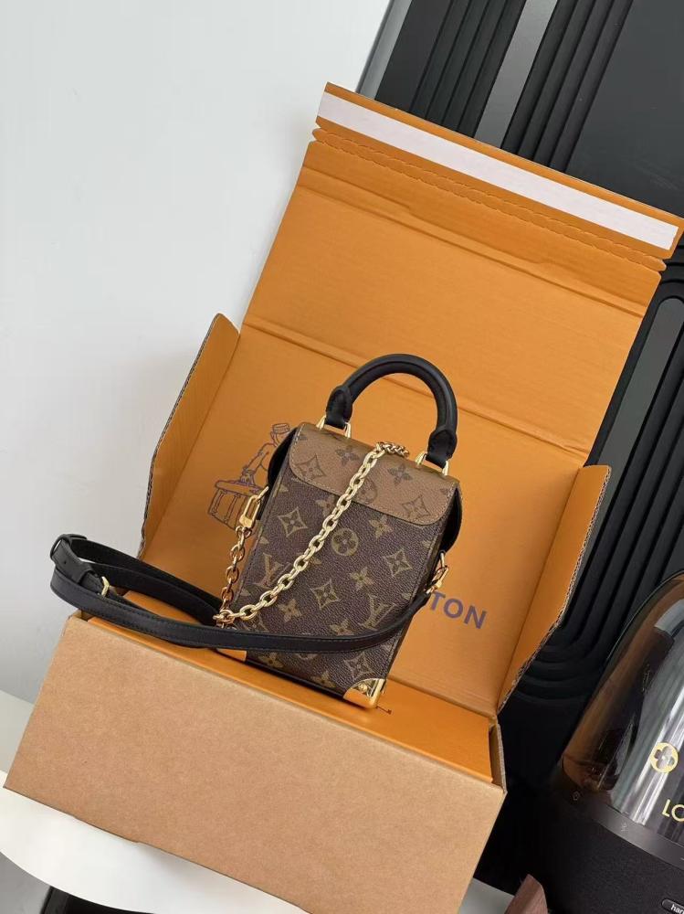 Louis Vuitton Camera Box Bag Monogram