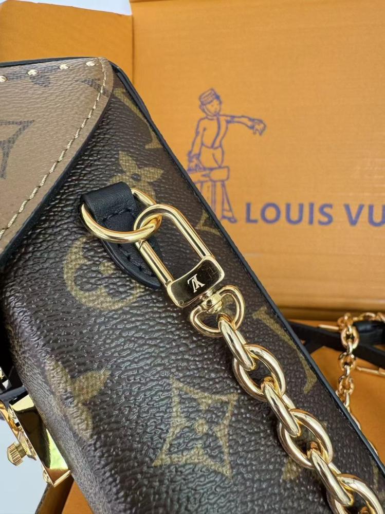 Louis Vuitton Camera Box Bag Monogram