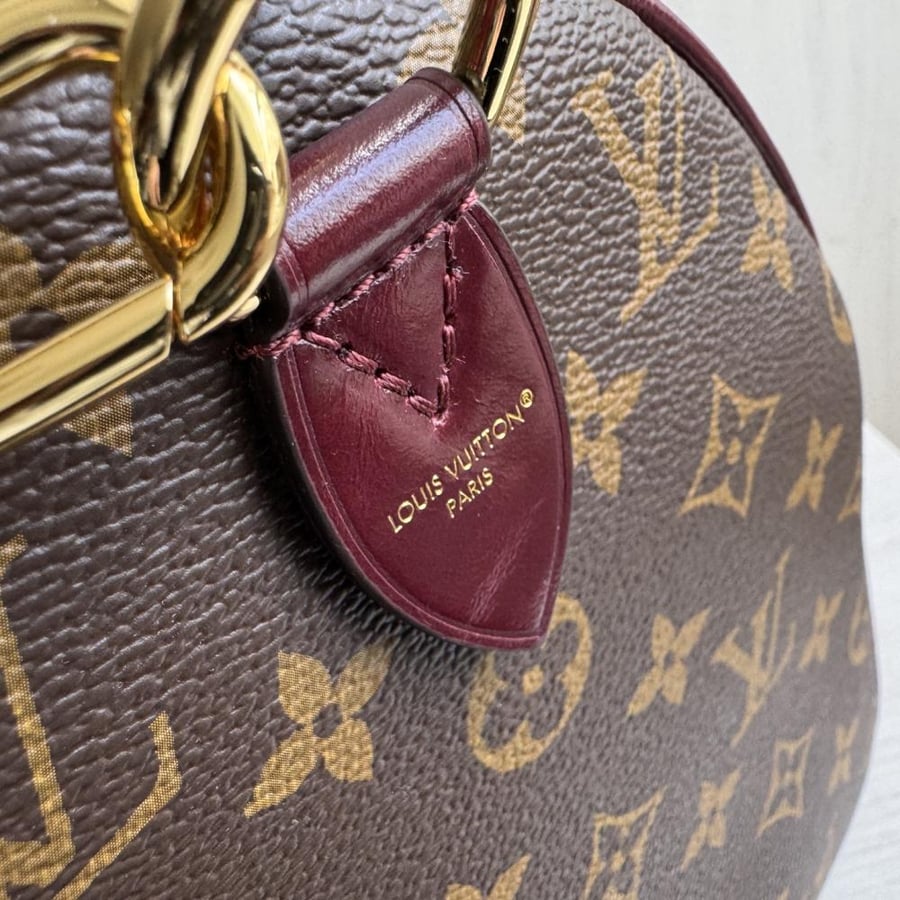 Louis Vuitton Speedy 30 Soft Celebration / حقيبة لويس فويتون سبيدي 30 سوفت سيليبريشن