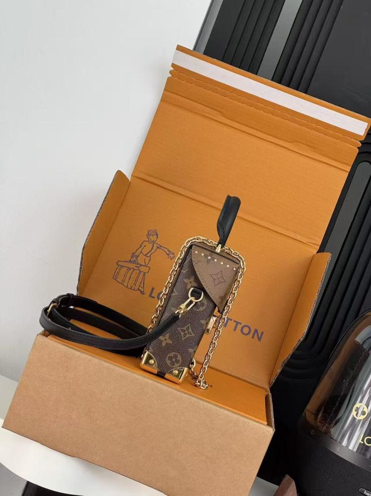 Louis Vuitton Camera Box Bag Monogram