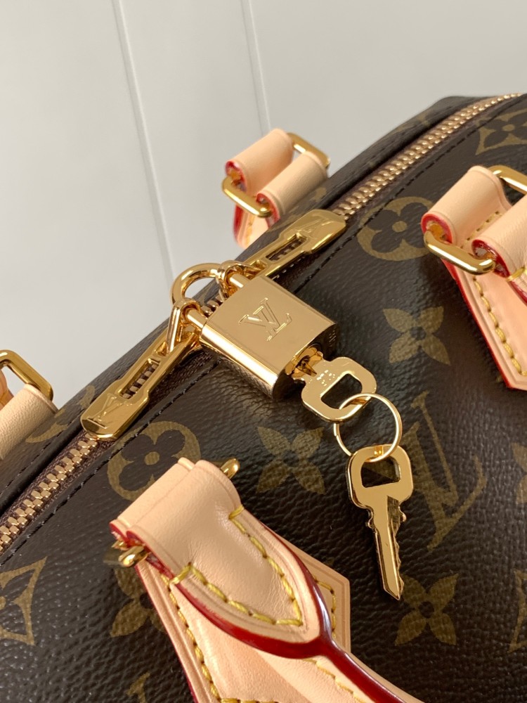 Louis Vuitton 20cm Speedy / حقيبة لويس فويتون سبيدي