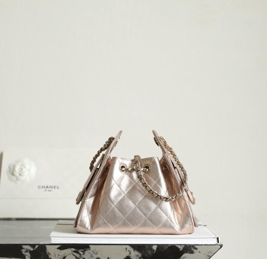 CHANEL 25 MINI HANDBAG
