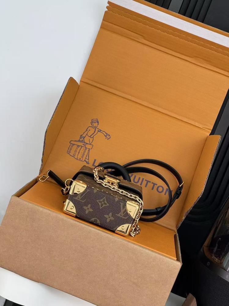 Louis Vuitton Camera Box Bag Monogram