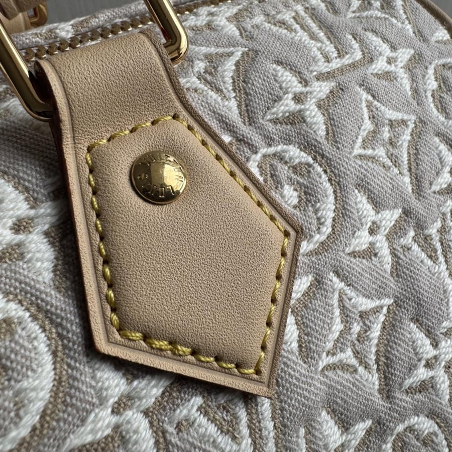 Louis Vuitton Speedy Soft 30 / حقيبة لويس فويتون سبيدي سوفت 30