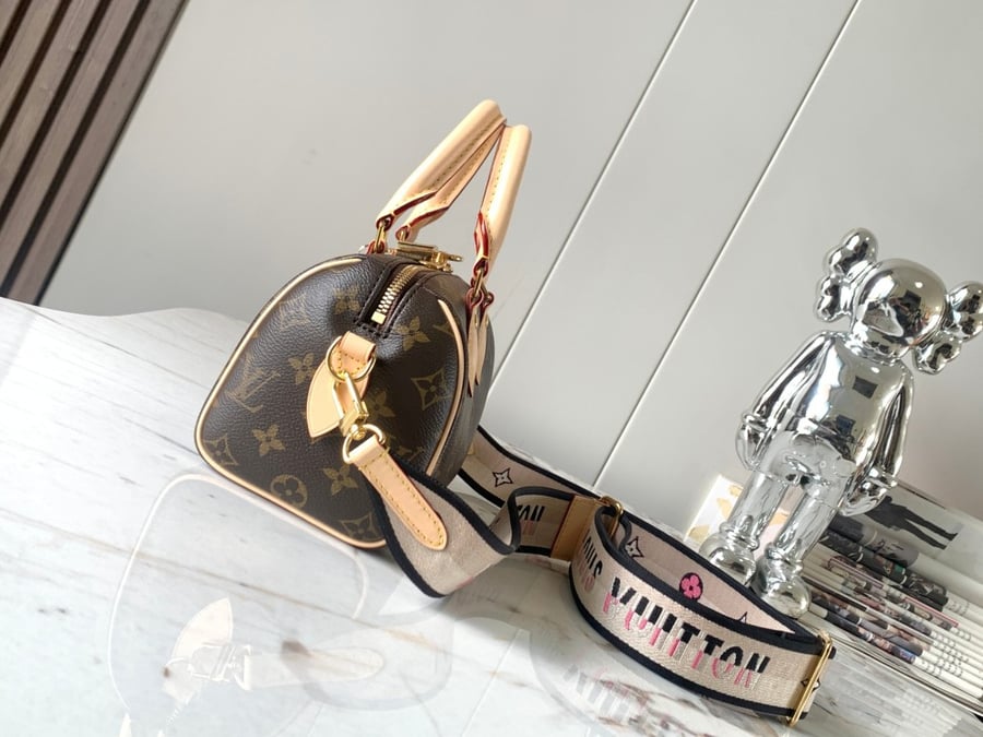 Louis Vuitton 20cm Speedy / حقيبة لويس فويتون سبيدي