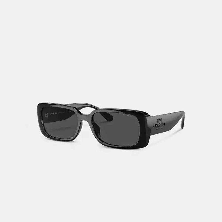 نظاره كوتش Oversized Cat Eye Sunglasses