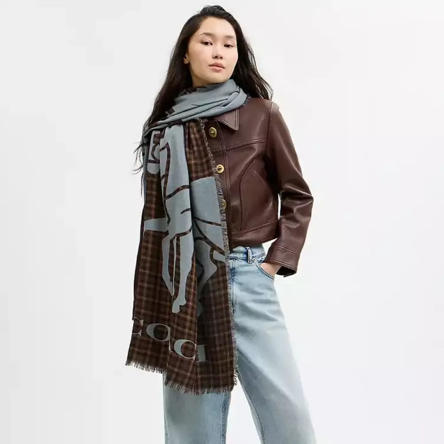 سكارف كوتش HORSE AND CARRIAGE PRINT PLAID STOLE