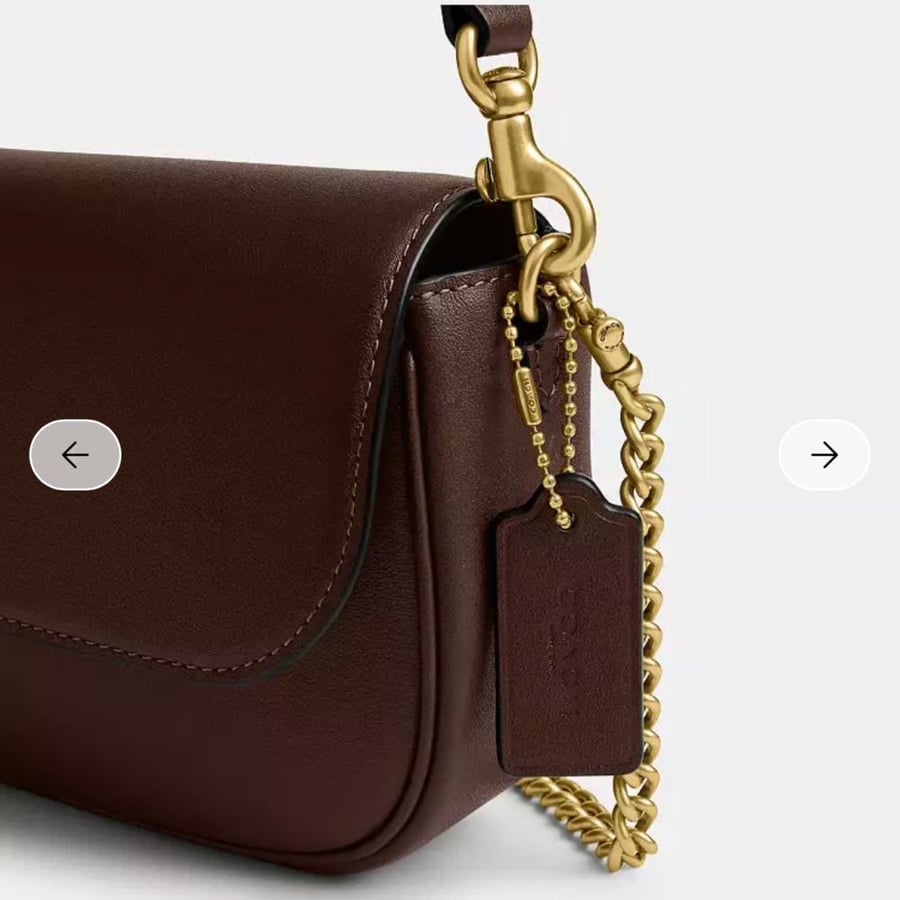 حقيبة كوتش Brook Flap Chain Bag