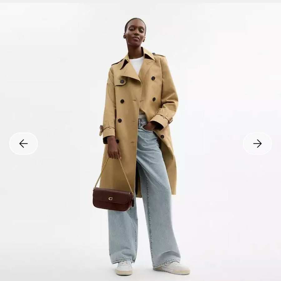 حقيبة كوتش Brook Flap Chain Bag