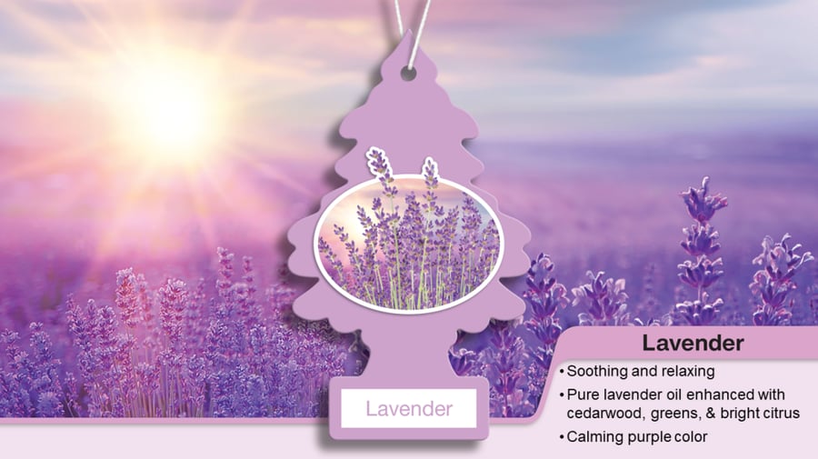 معطر جو من ليتل تري رائحه الخزامى - 3 قطع Little Tree Air Freshener