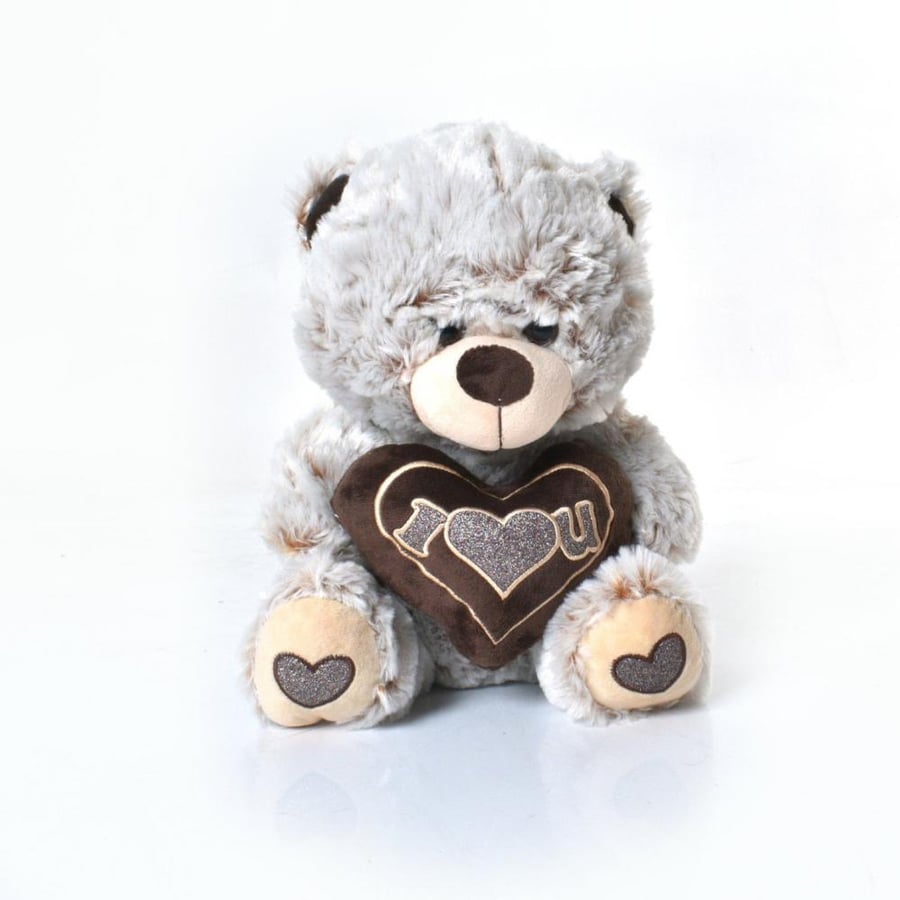 Small teddy bear doll carrying the heart in a wonderful color