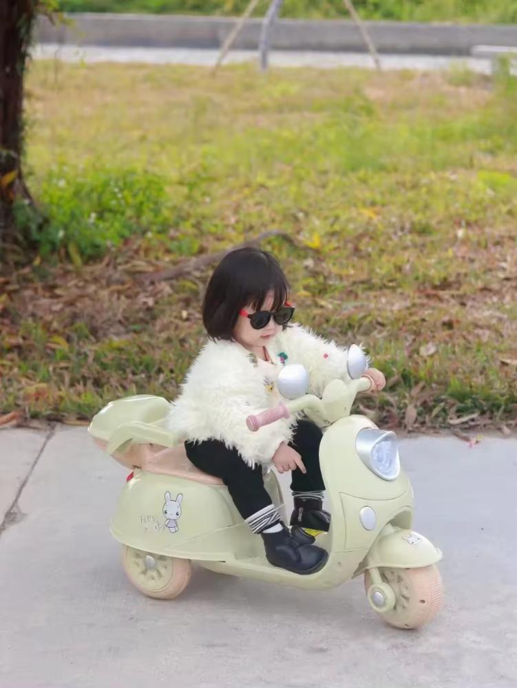 Three-wheeled electric motorcycle (S)