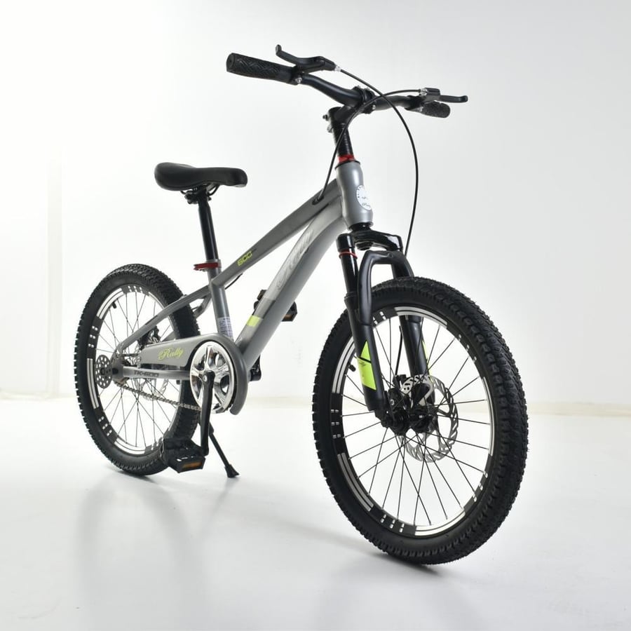 Professional bicycle 20 inch in dark silver color