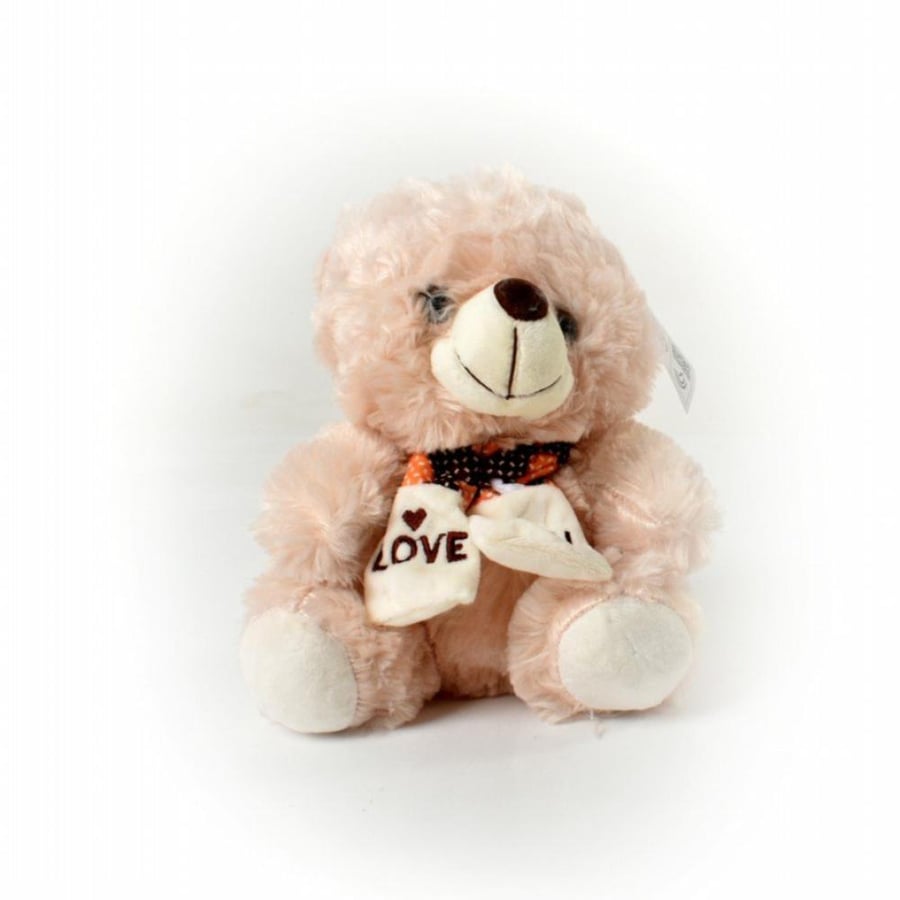 The cute teddy bear doll with an elegant scarf