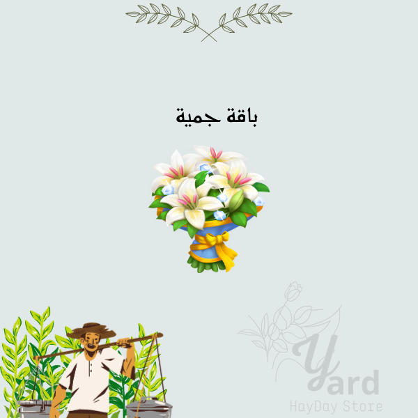 50 باقة جميلة | هاي داي