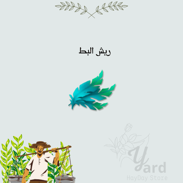 100 ريش البط | هاي داي