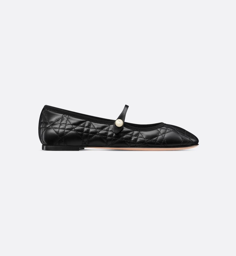 حذاء ديور Dior ballerina shoes