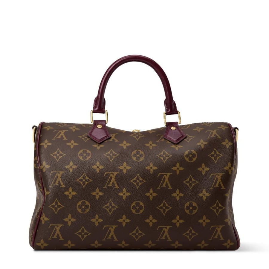 شنطة لويس فيتون Speedy Soft 30  Boho