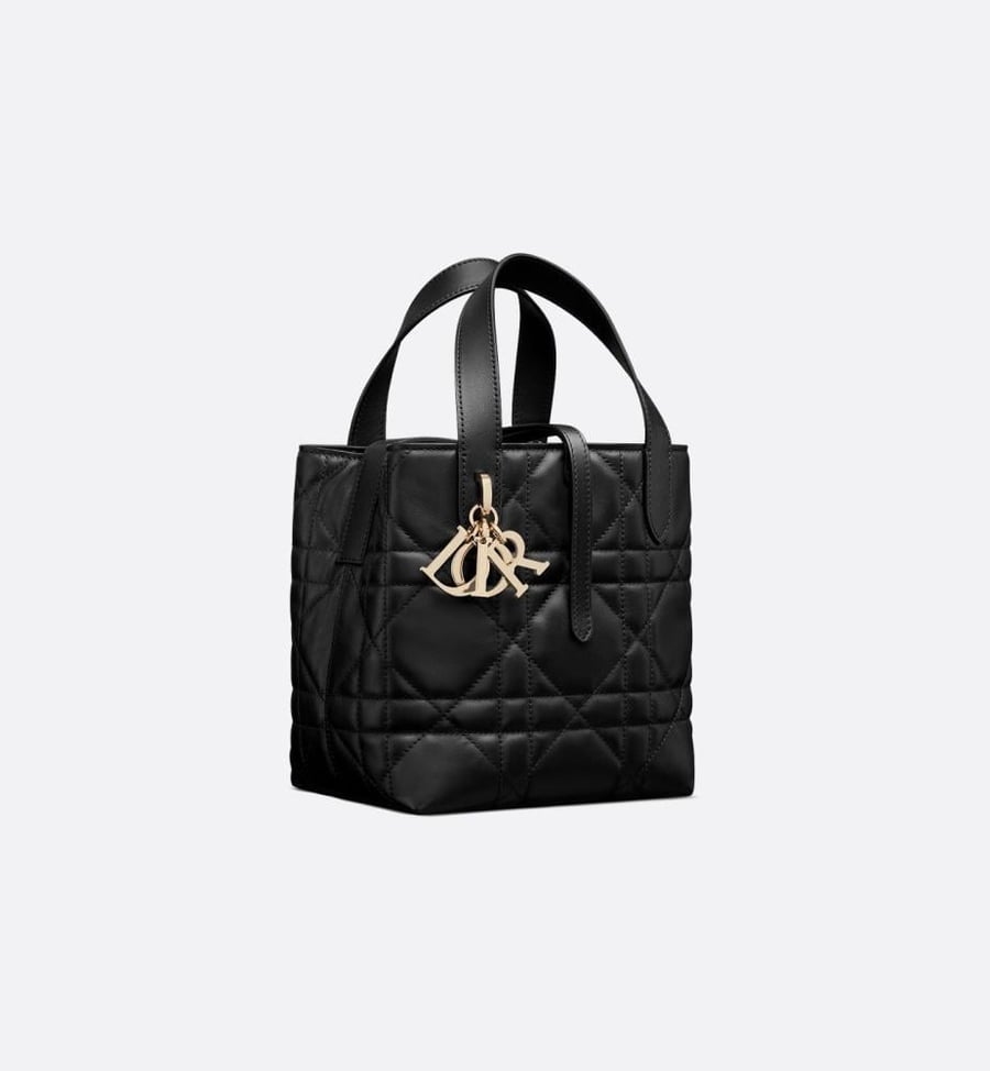 شنطة ديور Snall Dior Toujours Vertical Tote Bag
