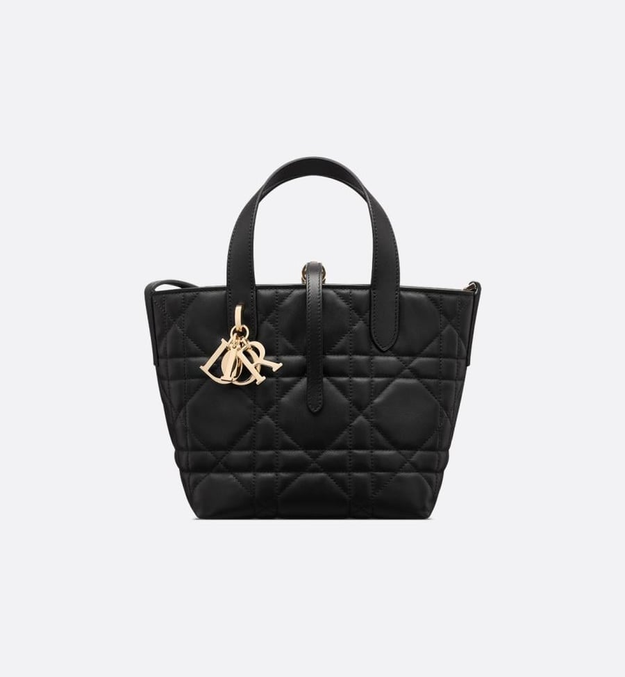 شنطة ديور Snall Dior Toujours Vertical Tote Bag