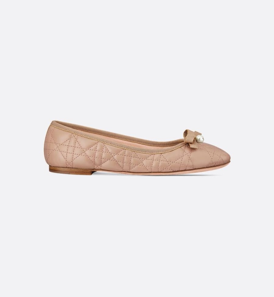 حذاء ديور Dior ballerina shoes
