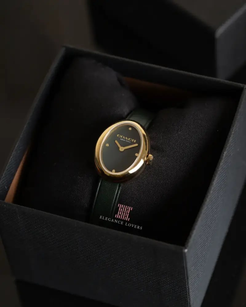 ساعة نسائية ماركة كوتش - Oval Olive Green Strap