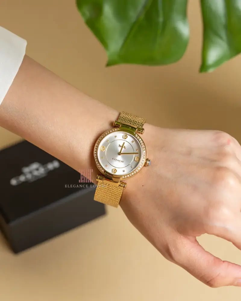 Women's crystal watch, Coach brand - Cary Gold