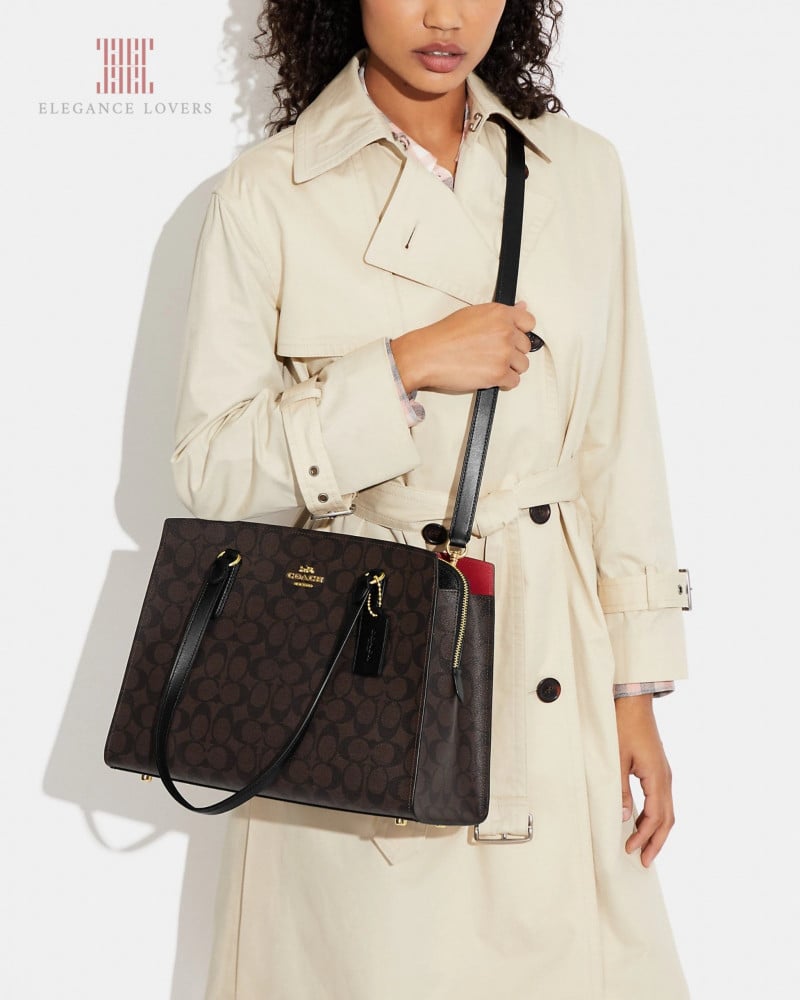 Shoulder bag brand Coach
