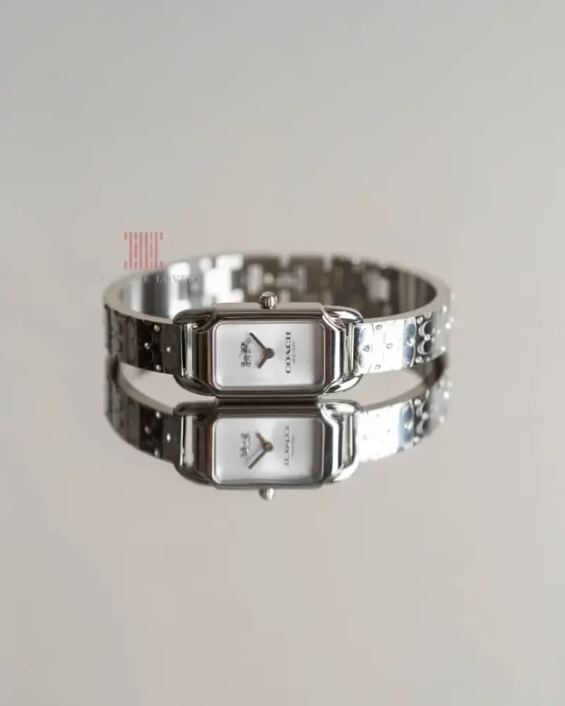 Women's watch, brand Coach, Greyson Silver