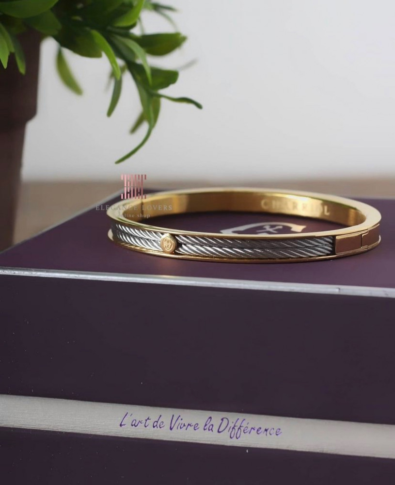 إسوارة مطلية ذهب ماركة شاريول Forever Slim