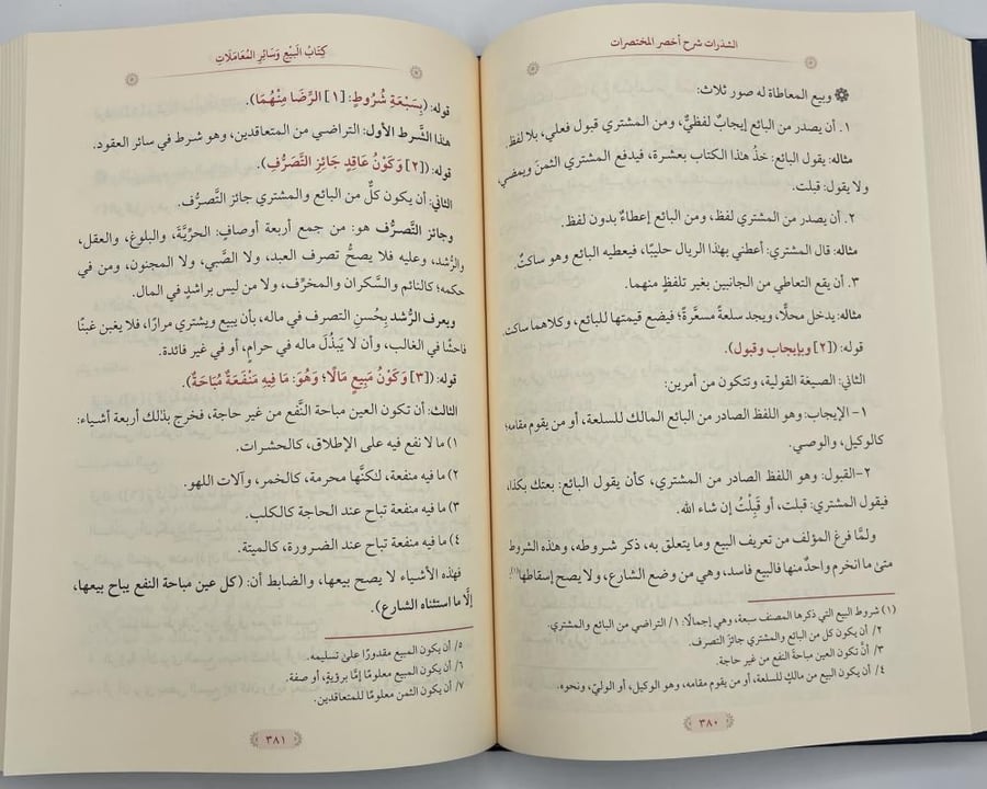 الشذرات شرح اخصر المختصرات