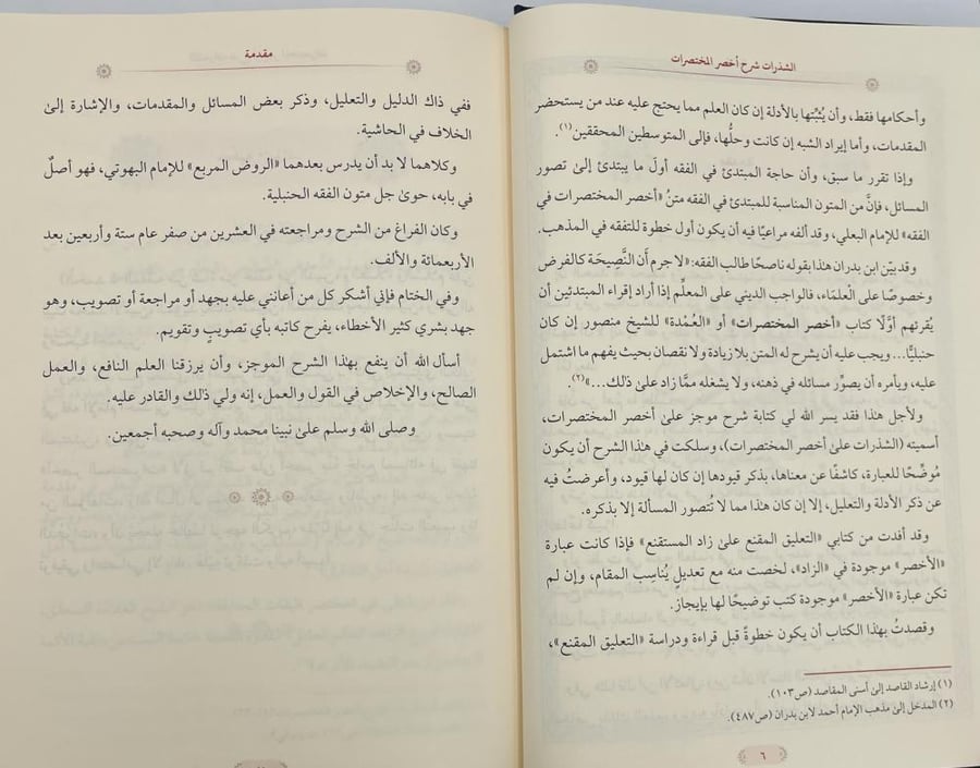 الشذرات شرح اخصر المختصرات