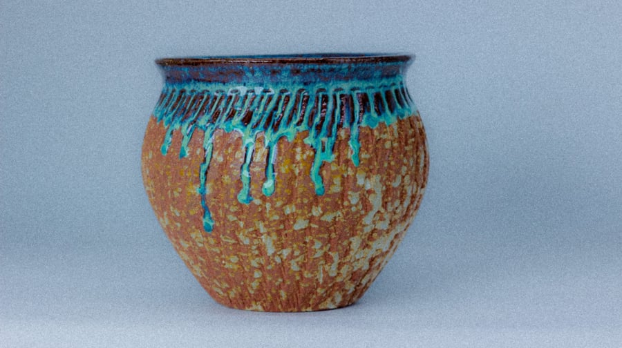 Vase and flowers