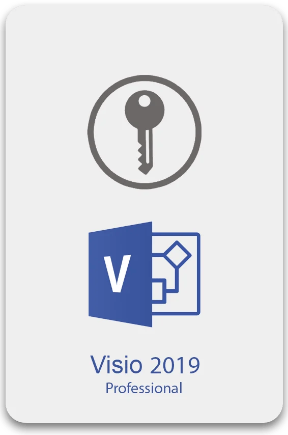 Visa 2019 Professional