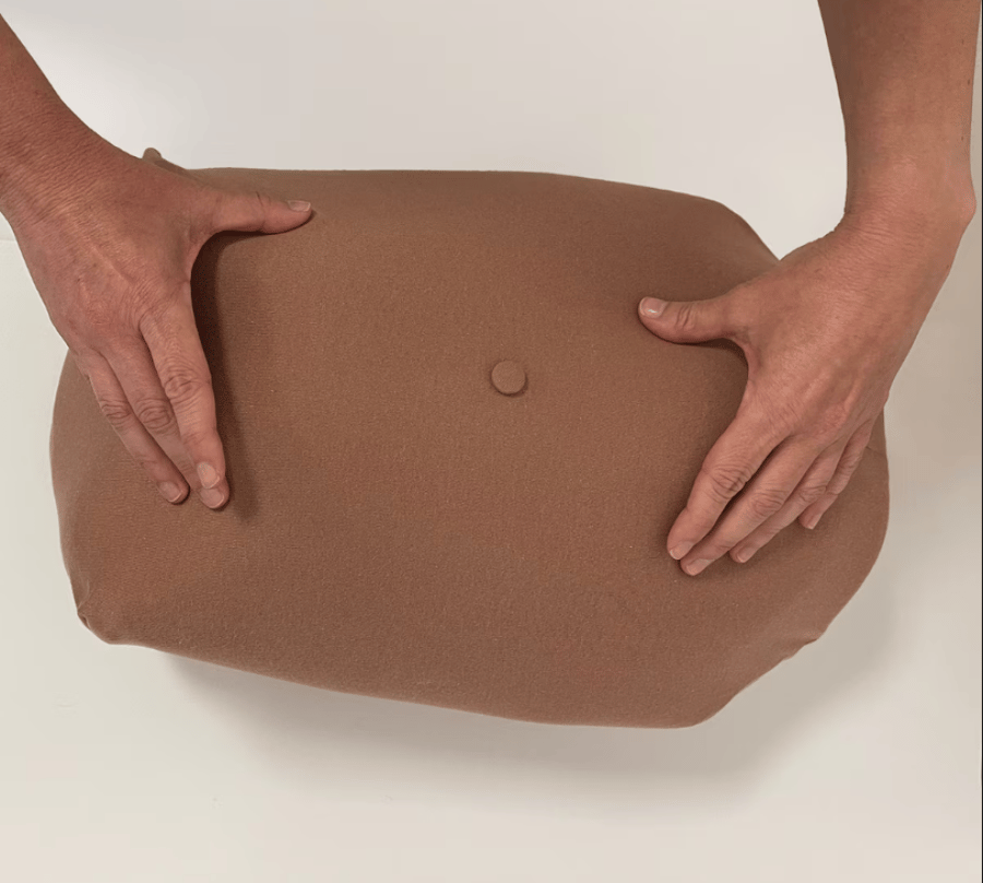 Abdominal Palpation Model Set