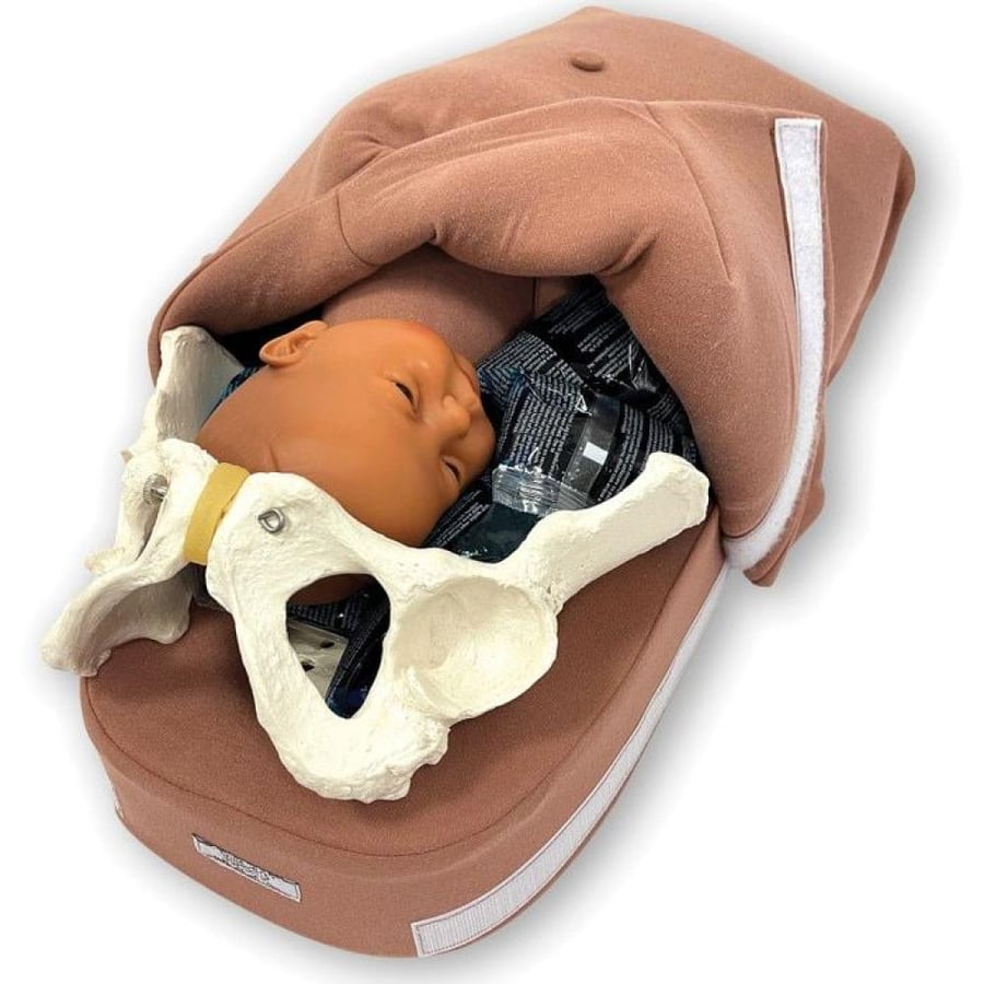 Abdominal Palpation Model Set