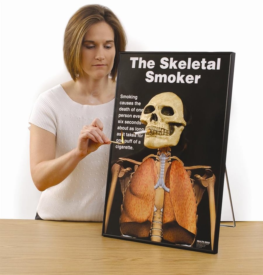 The Skeletal Smoker Display