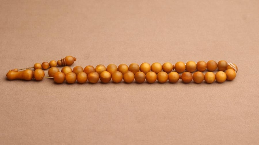 سبحة وحيد القرن نادرة