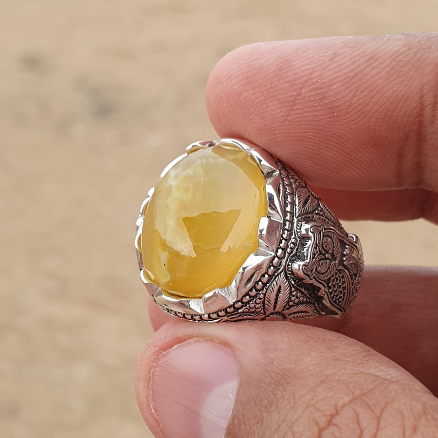 خاتم شرف الشمس خليه نحل موديل ألبومه إبداع الشريف
