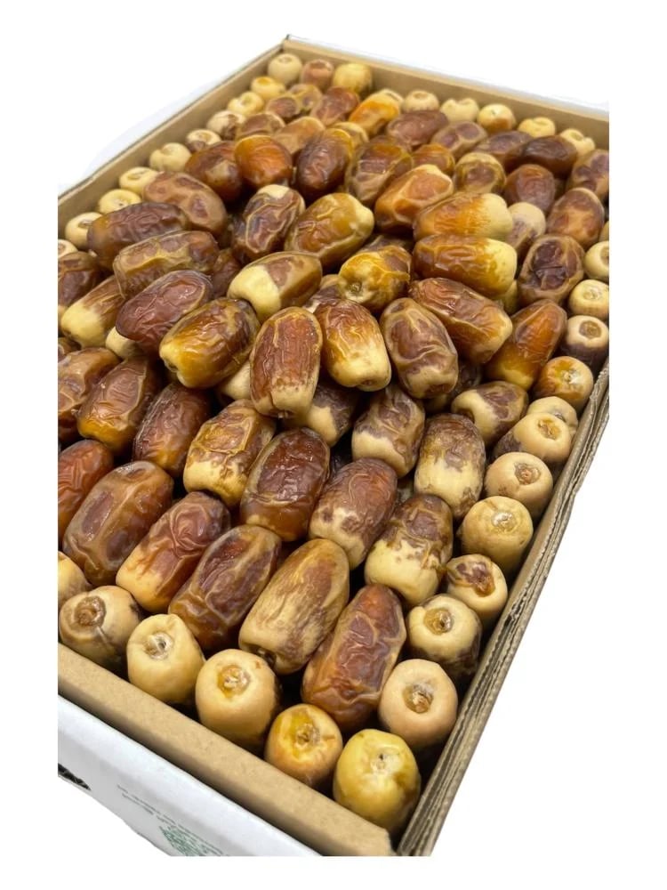 صقعي رطب  رقم واحد