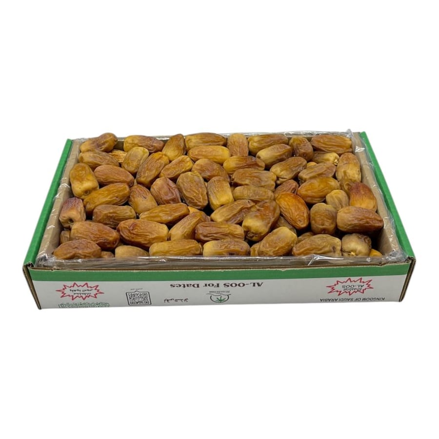 رشودية بانوراما