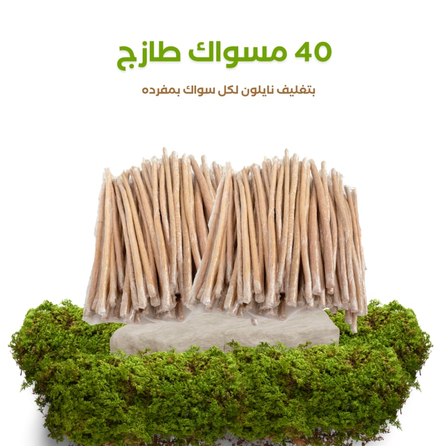 50 مسواك مغلف