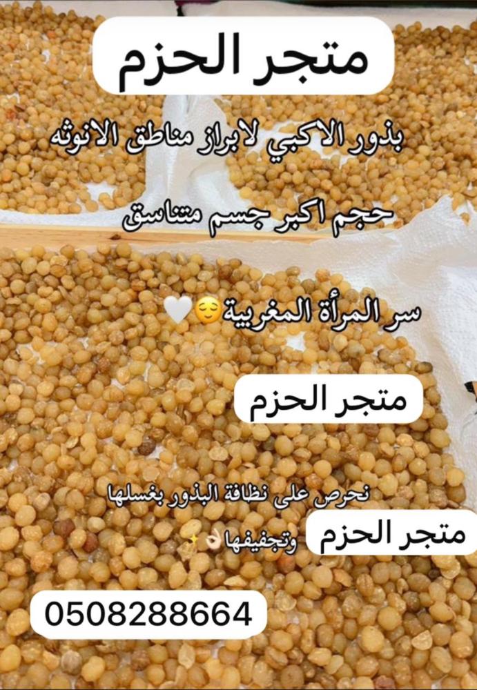 نص كيلو بذور الاكبيلزياده حجم مناطق الانوثه
