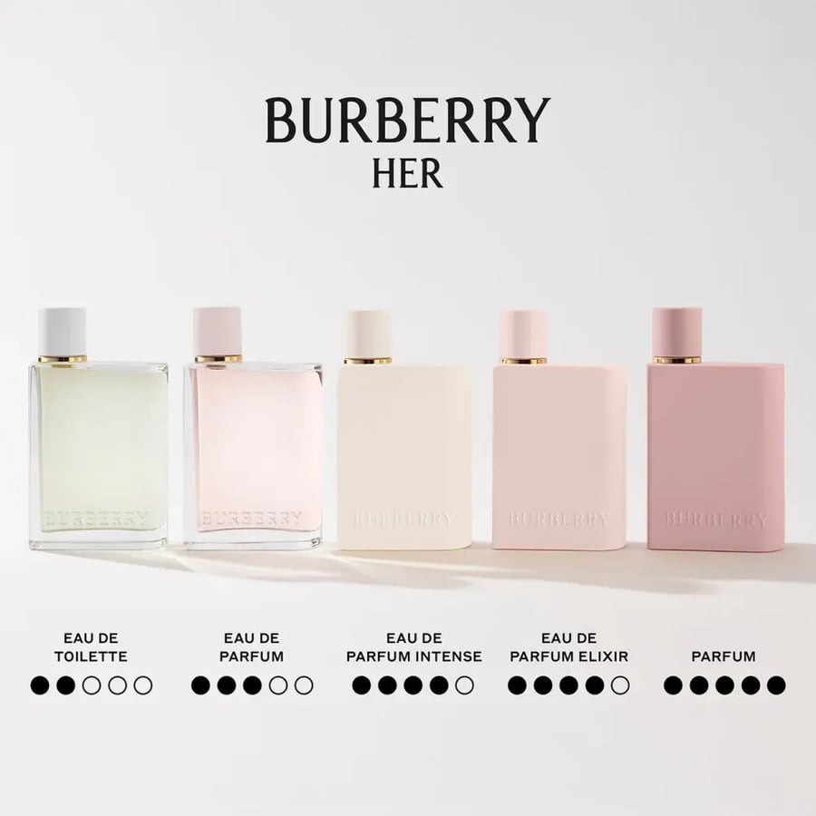 بربري عطر هير اينتنس 100 مل