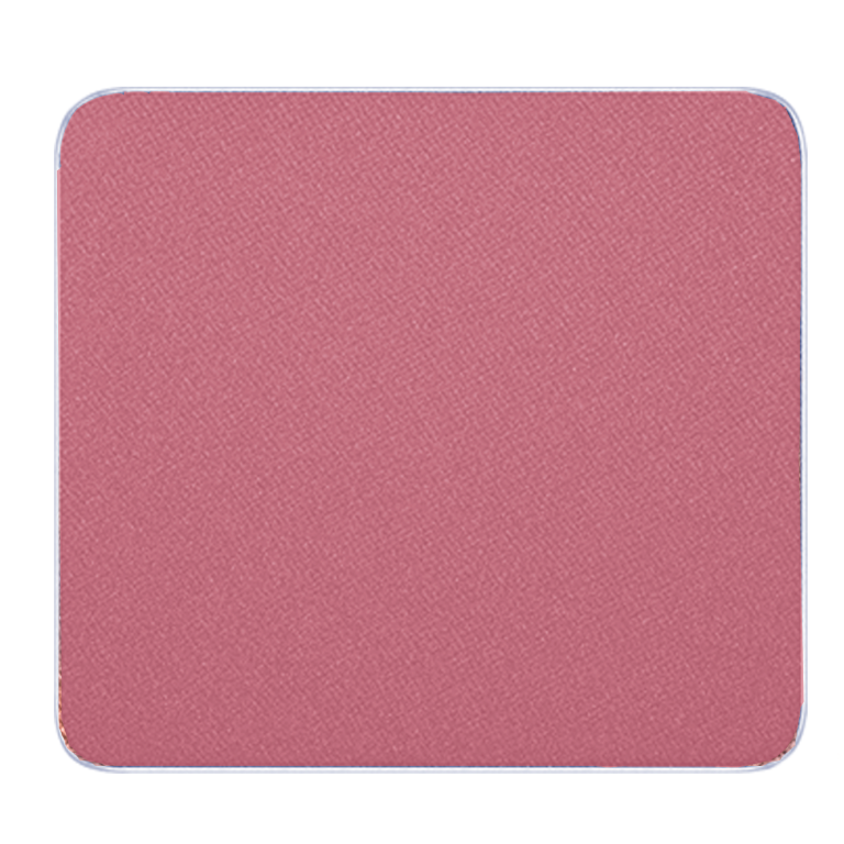 Leather shade of eyes single transferable matte high dye - 41