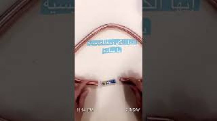 الكهرومغناطيسية   المجال المغناطيسي أو الحركة المغناطيسية الكهربائية