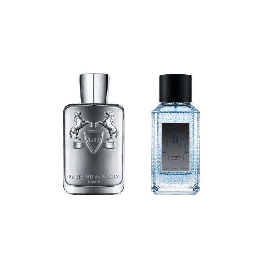 عطر انموس ليدير لي بارفيوم 100مل