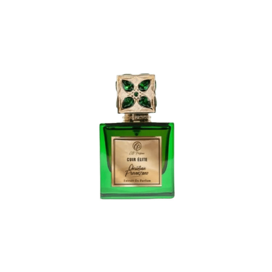 عطر كريستيان بروفنزانو كوير إيليت أو دو برفيوم 100 مل