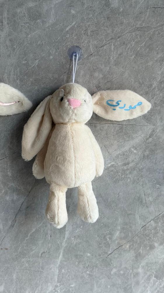 دُمية مع كتابة اسم الطفل
